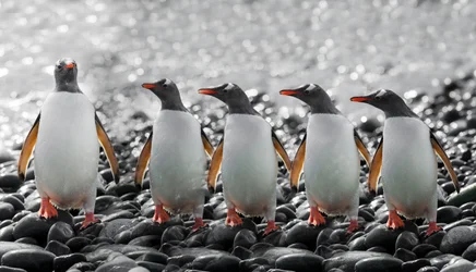 Vijf nieuwsgierige pinguïns