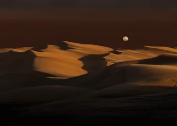 Maan boven de gouden duinen