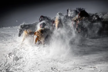 Winterpaardenstormloop