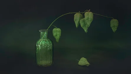 Stilleven met groen blad