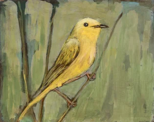 Felgele vogel