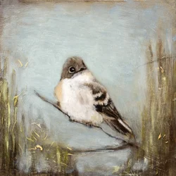 Rustige vogel op een tak