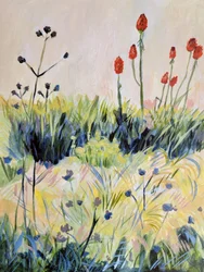 Kleurrijke zomerbloemen