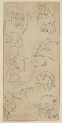 Studie van dierenhoofden