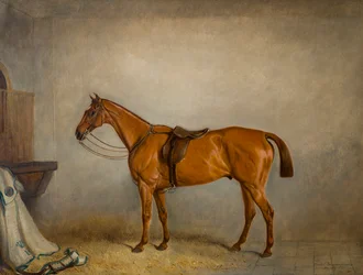 Het paard Planet in een stal