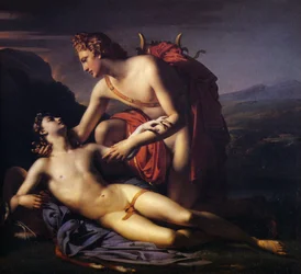 Apollo en Cyparissus