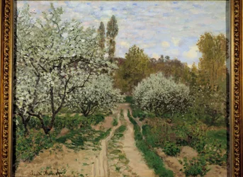 Appelbomen in bloei