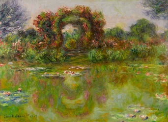 Waterlelievijver, de rozenstruiken