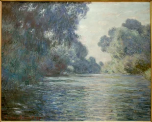 Arm van de Seine bij Giverny