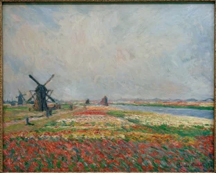 Bloemenvelden en molens bij Leiden