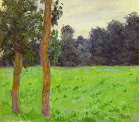Twee bomen in de weide, 1886