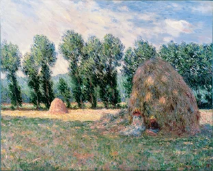 Hooibergen