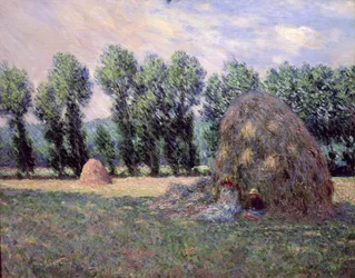 Hooibergen, 1885