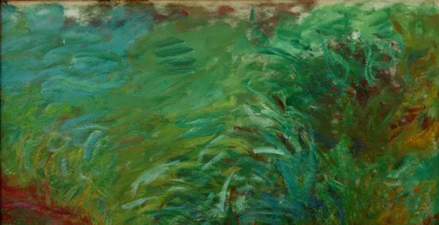Waterplanten