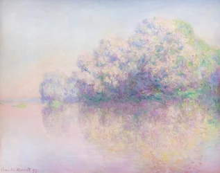 Eiland van brandnetels