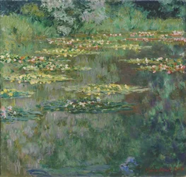 De vijver met waterlelies