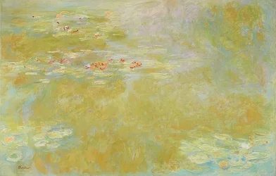 De waterlelievijver