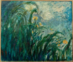 De Gele Irissen