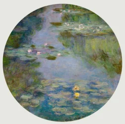 Waterlelies