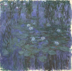 Blauwe waterlelies