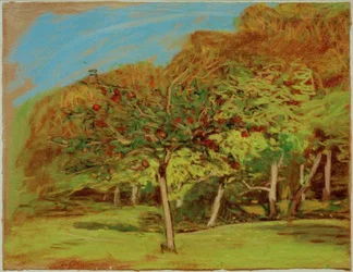 Fruitbomen