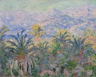 Palmbomen in Bordighera