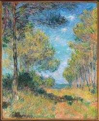 Paden met pijnbomen in Varengeville, 1882