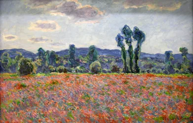 Klaprozenveld, 1887