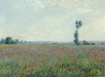 Klaprozenveld