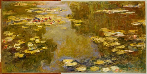 De lelievijver