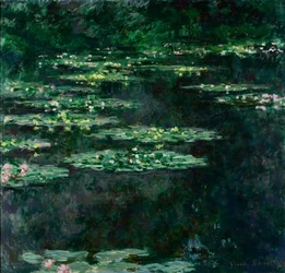 De waterlelies