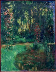 Een hoek van de vijver in Giverny