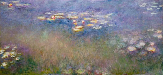 Waterlelies (Agapanthus) c.1915-26 (olieverf op doek)