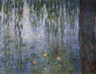 Waterlelies, detail