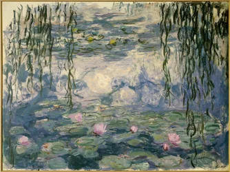 Waterlelies