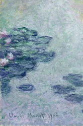 Waterlelies