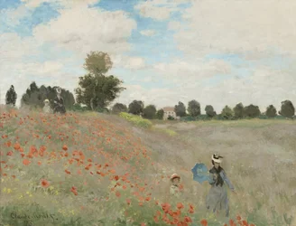 Klaprozenveld