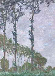 Wind Effect, Serie van De Populieren, 1891