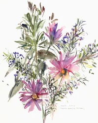 Flora, Zuid-Afrikaanse madeliefjes en lavendel, 2004