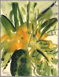 Sleutelbloemen, 2005