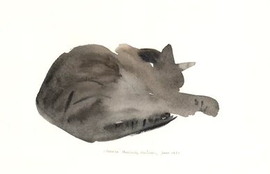 Slapende kat, 1985