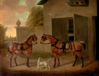 Koetsen, paarden en honden