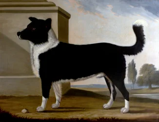 Lord Byrons hond Boatswain (De Newfoundland), 1808