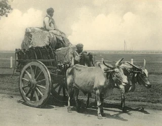 Ossenkar