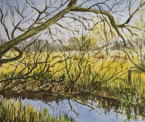 Water Meadows, Kintbury, begin mei 