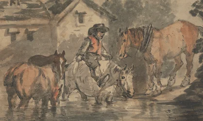 Man die vier paarden water geeft