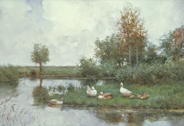 Eenden in een Rivierlandschap