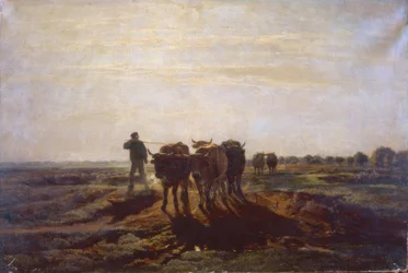 Vlak landschap met ossen