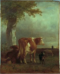 Koeien in de Weide