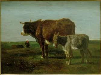 Koe met ezel